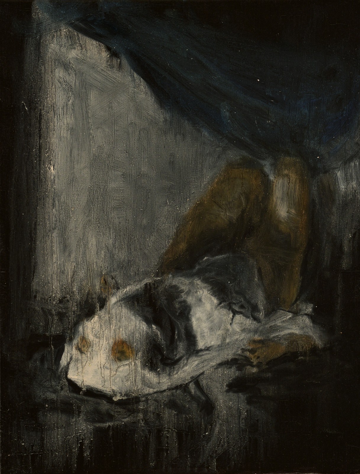 Kolena, 2024, 65×50 cm