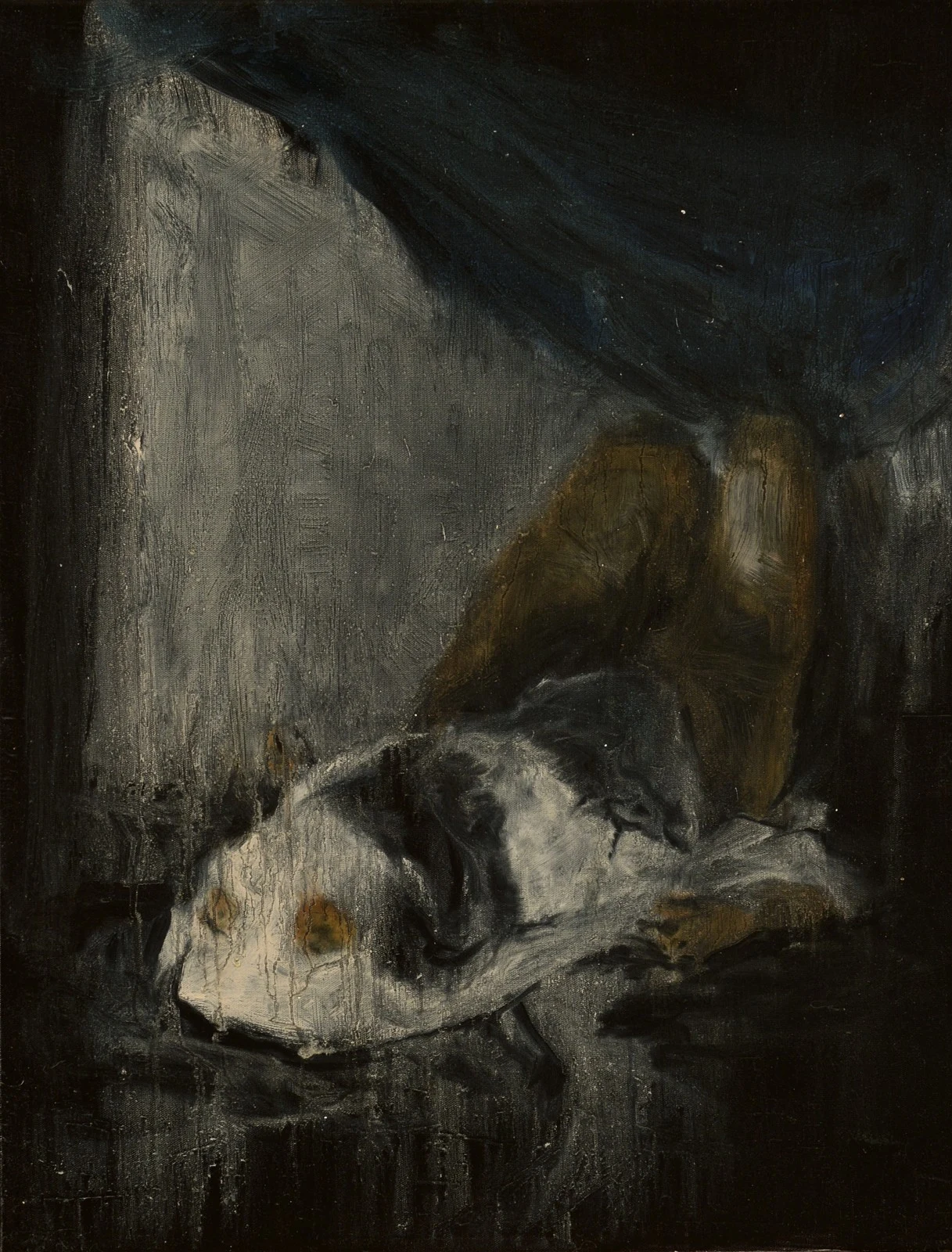 Kolena, 2024, 65×50 cm