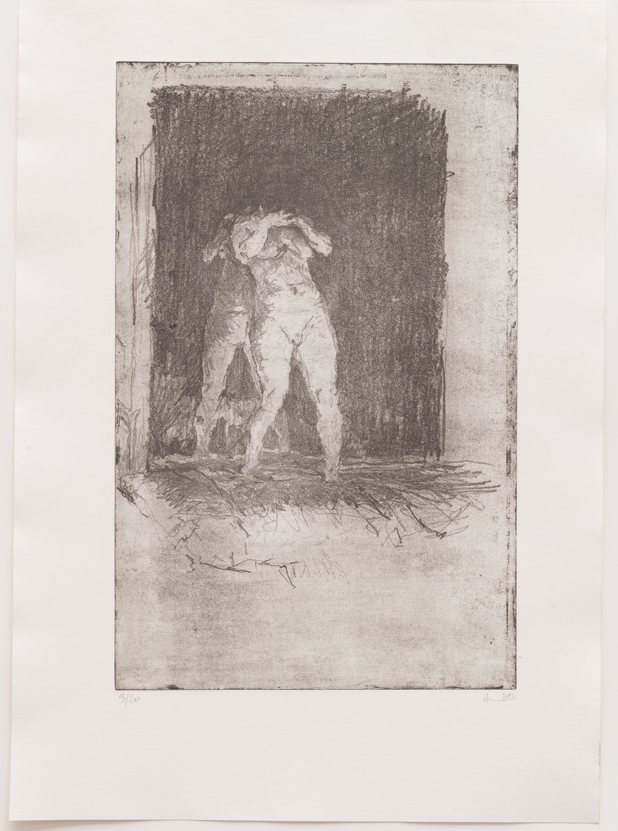 Myslitelka II, 2014, měkký kryt