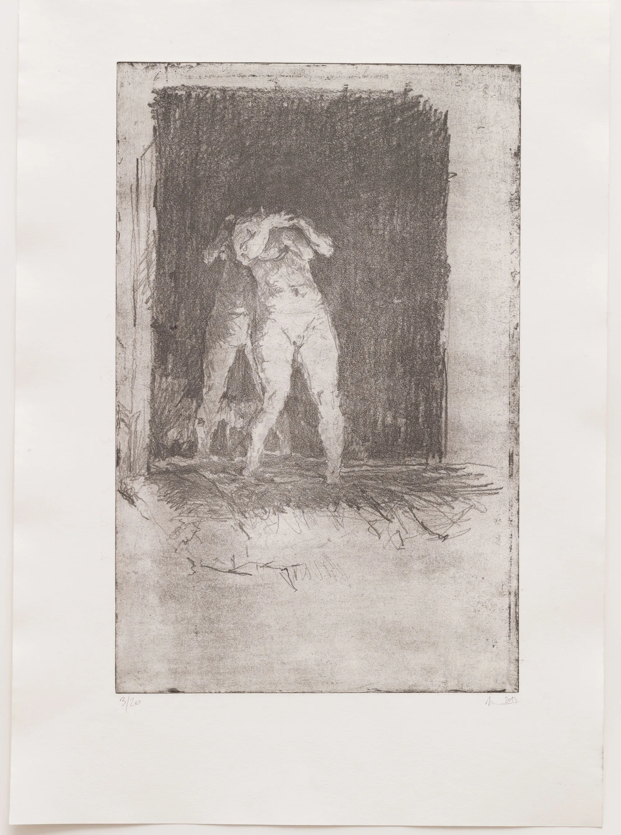 Myslitelka II, 2014, měkký kryt