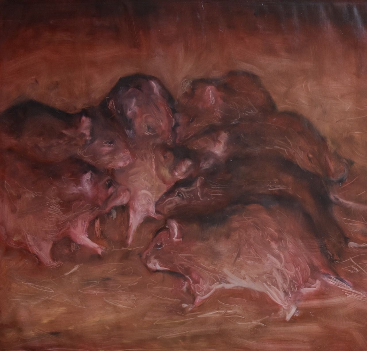 Potkani, 2019, 97×101 cm, olej na papíře
