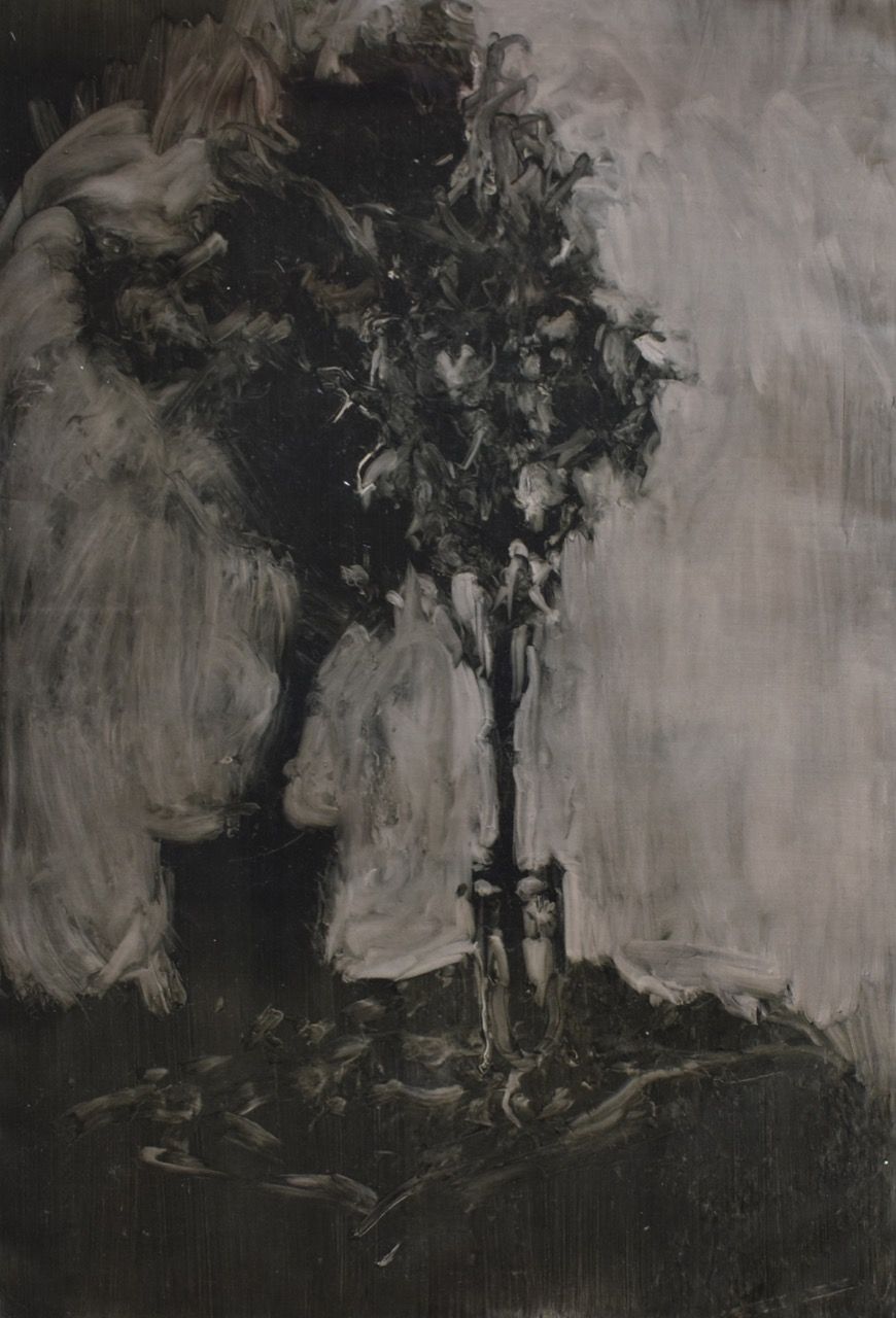 Yucca I, 2018, 86×122 cm