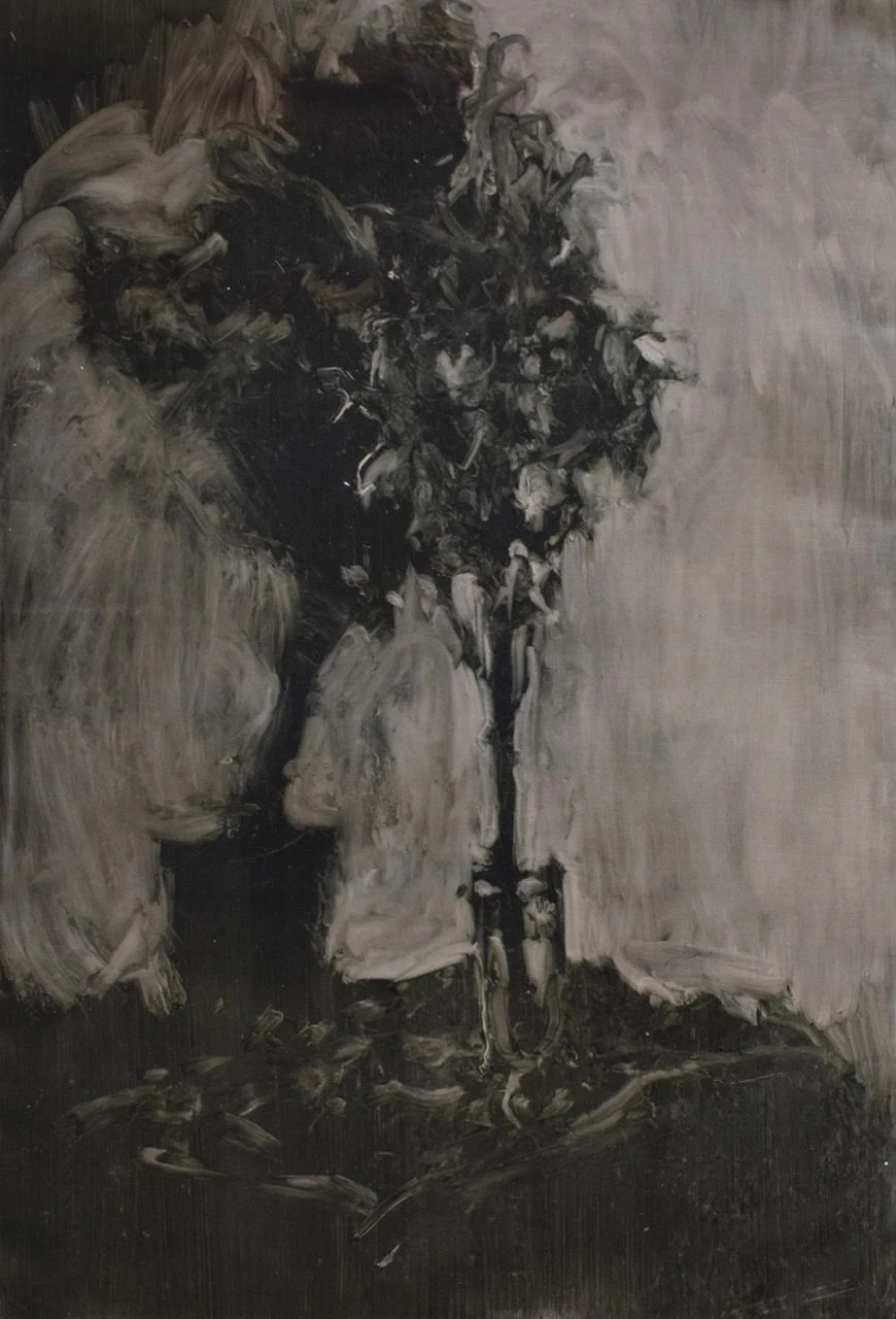 Yucca I, 2018, 86×122 cm